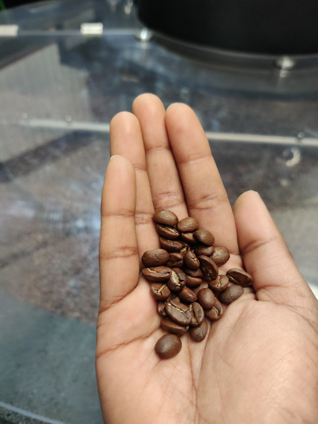 Hand holding a small pile of coffee beans on a reflective surface